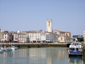 Enlèvement arbre urgence La Rochelle